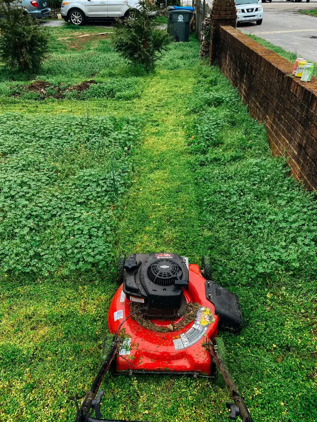 What lawn work typically costs