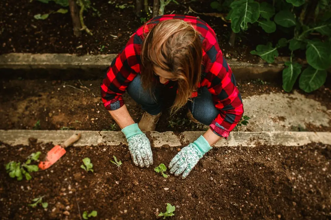 Landscaping, booked in one call
