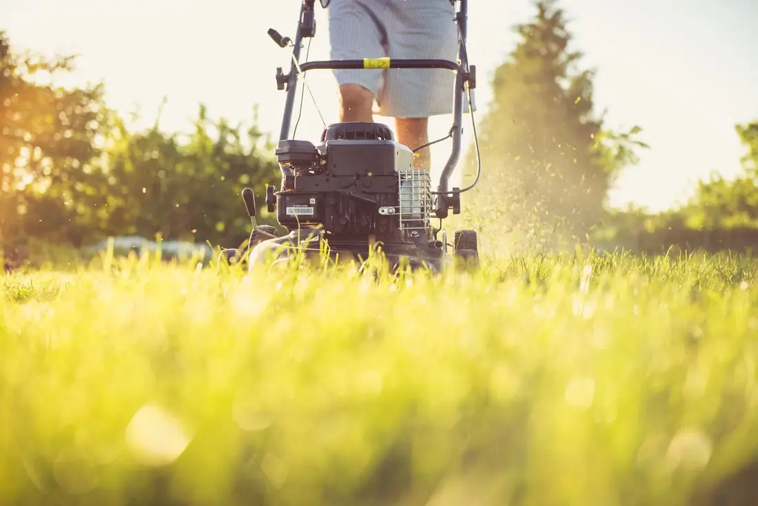 Lawn Mowing